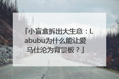 小盲盒拆出大生意：Labubu为什么能让爱马仕沦为背景板？